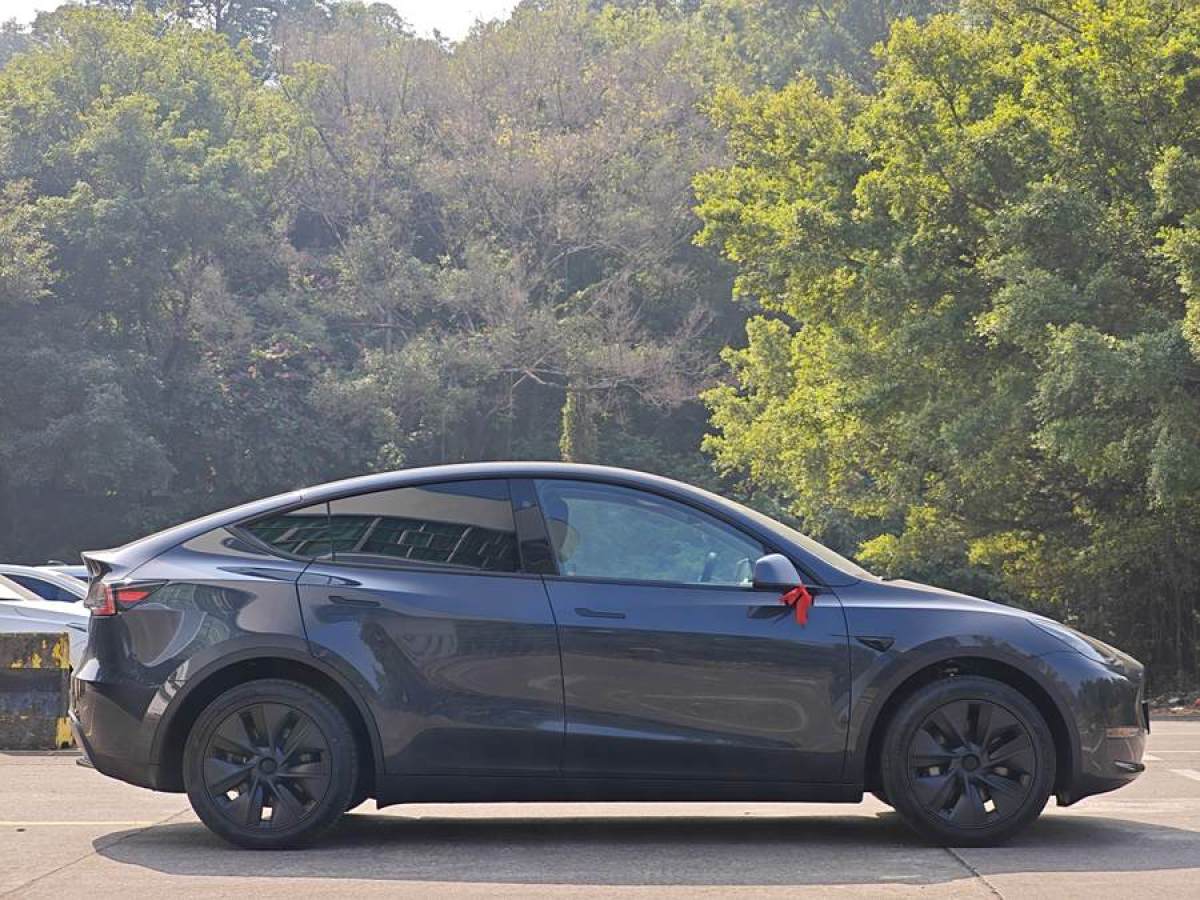 特斯拉 Model Y  2024款 長(zhǎng)續(xù)航全輪驅(qū)動(dòng)版圖片