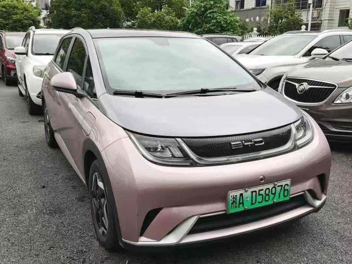 比亞迪 海豚  2021款 405km 時(shí)尚版圖片