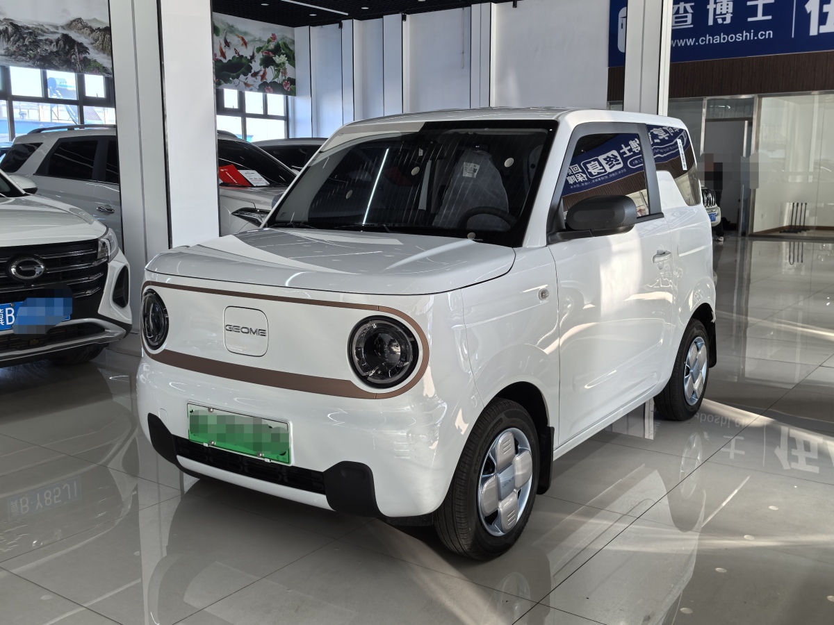 2024年12月吉利 熊貓mini  2023款 200km 耐力熊