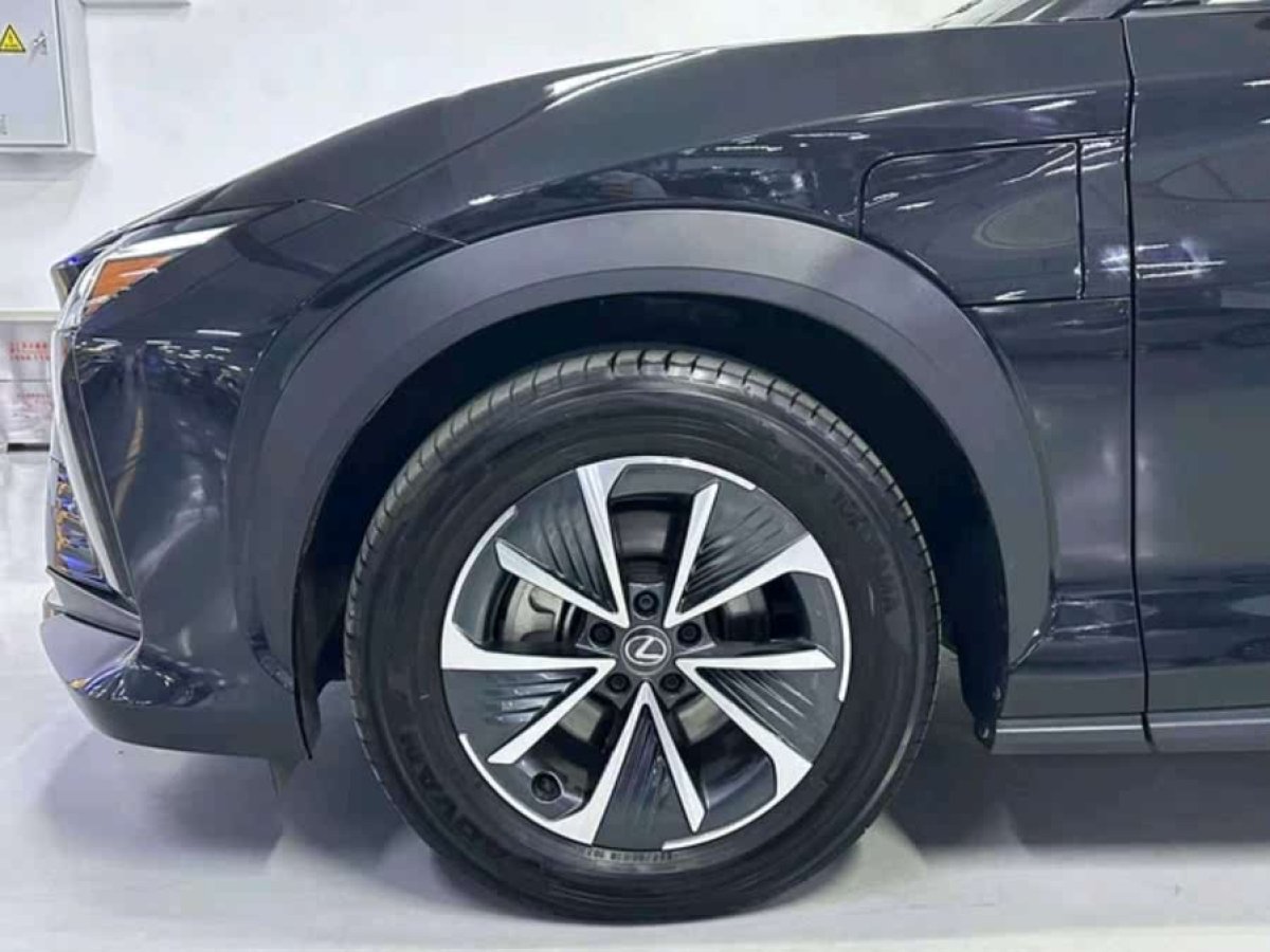 雷克薩斯 雷克薩斯RZ  2023款 450e 四驅(qū)縱享版圖片