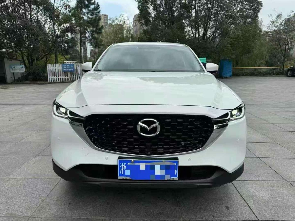 馬自達(dá) CX-30  2024款 2.0L 手動尚悅型圖片