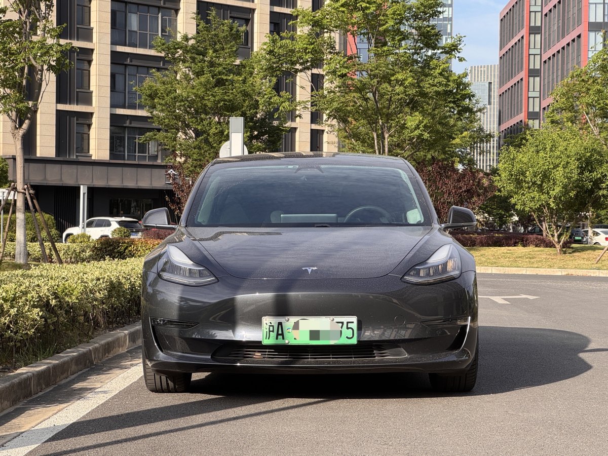 特斯拉 Model 3  2020款 改款 長(zhǎng)續(xù)航后輪驅(qū)動(dòng)版圖片