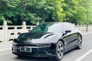 極氪001 極氪 WE版 100kWh