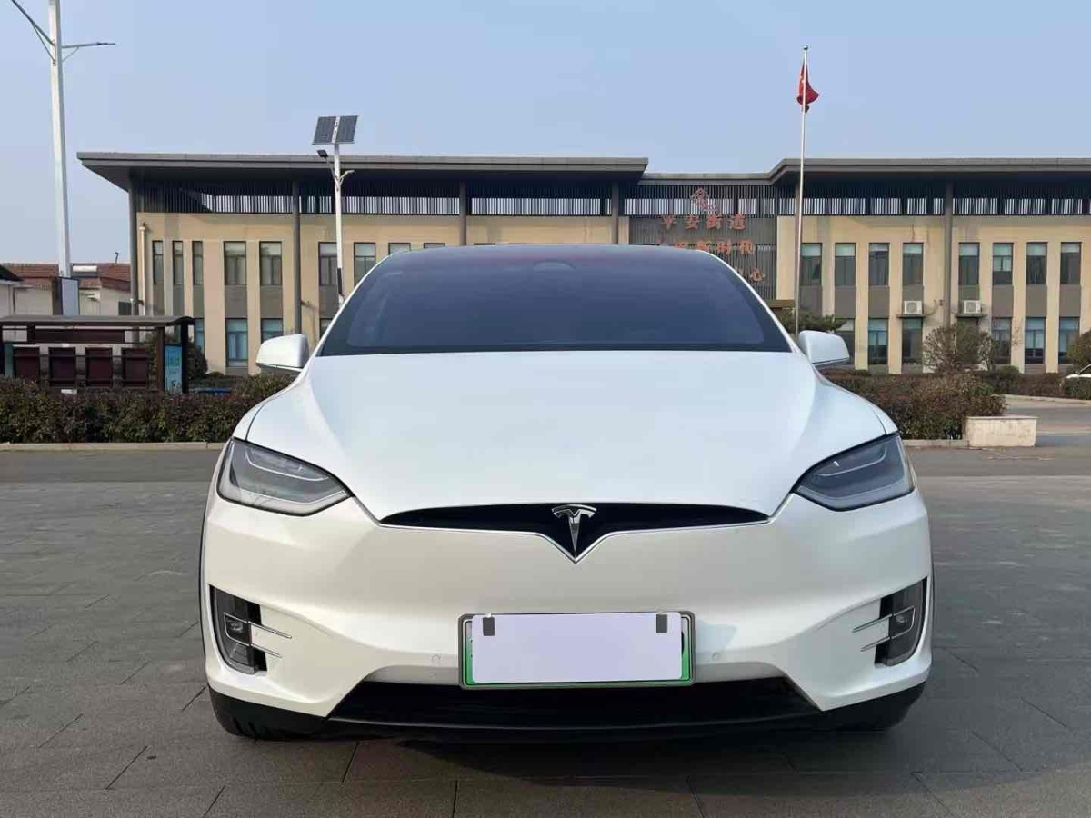 特斯拉 Model X  2019款 Performance 高性能版圖片