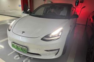 L3 比亞迪 