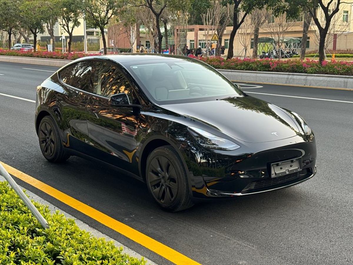 特斯拉 Model 3  2020款 改款 長(zhǎng)續(xù)航后輪驅(qū)動(dòng)版圖片