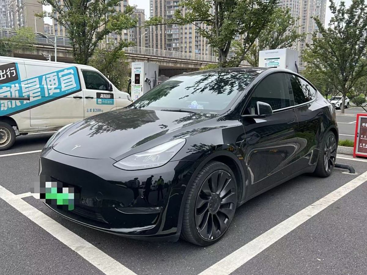 特斯拉 Model 3  2021款 改款 Performance高性能全輪驅(qū)動版圖片