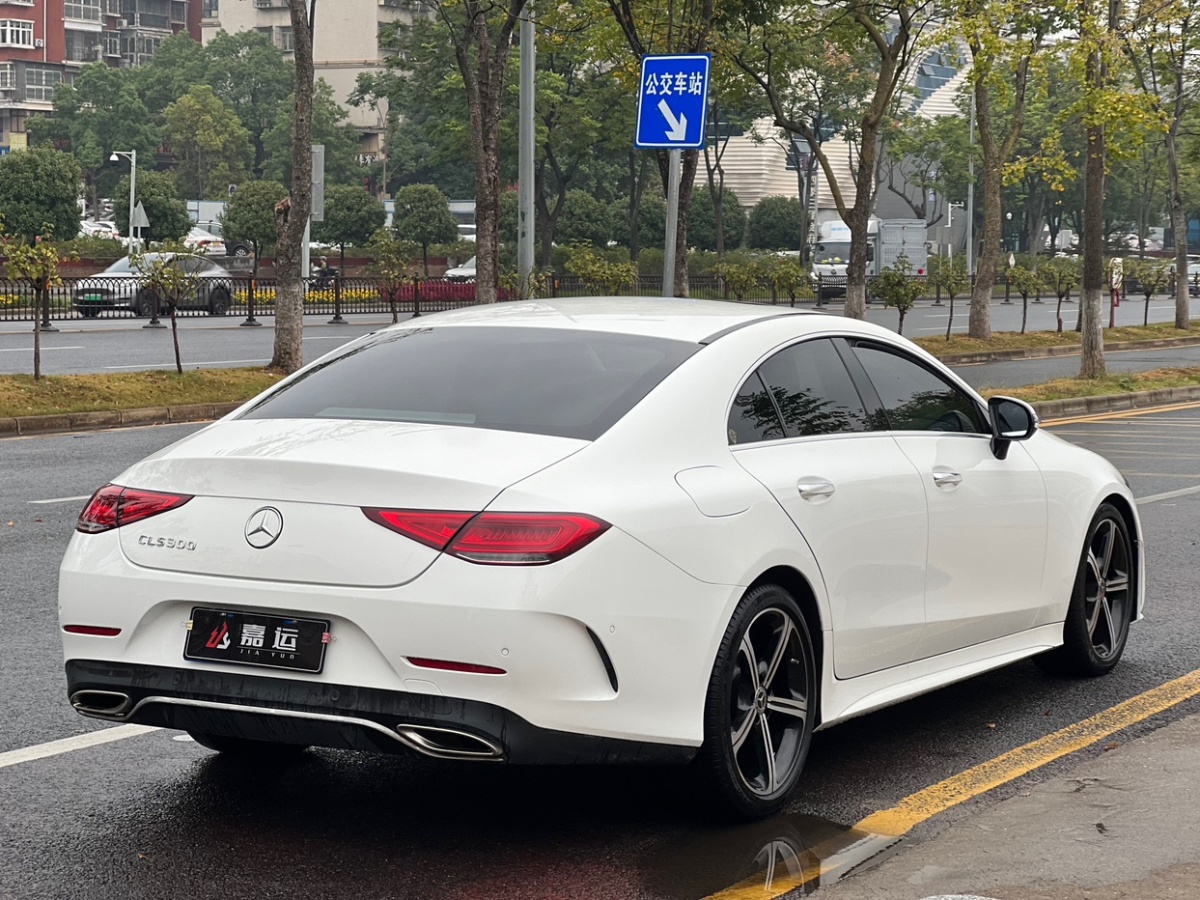 2020年3月奔馳 奔馳CLS級  2020款 CLS 300 豪華型