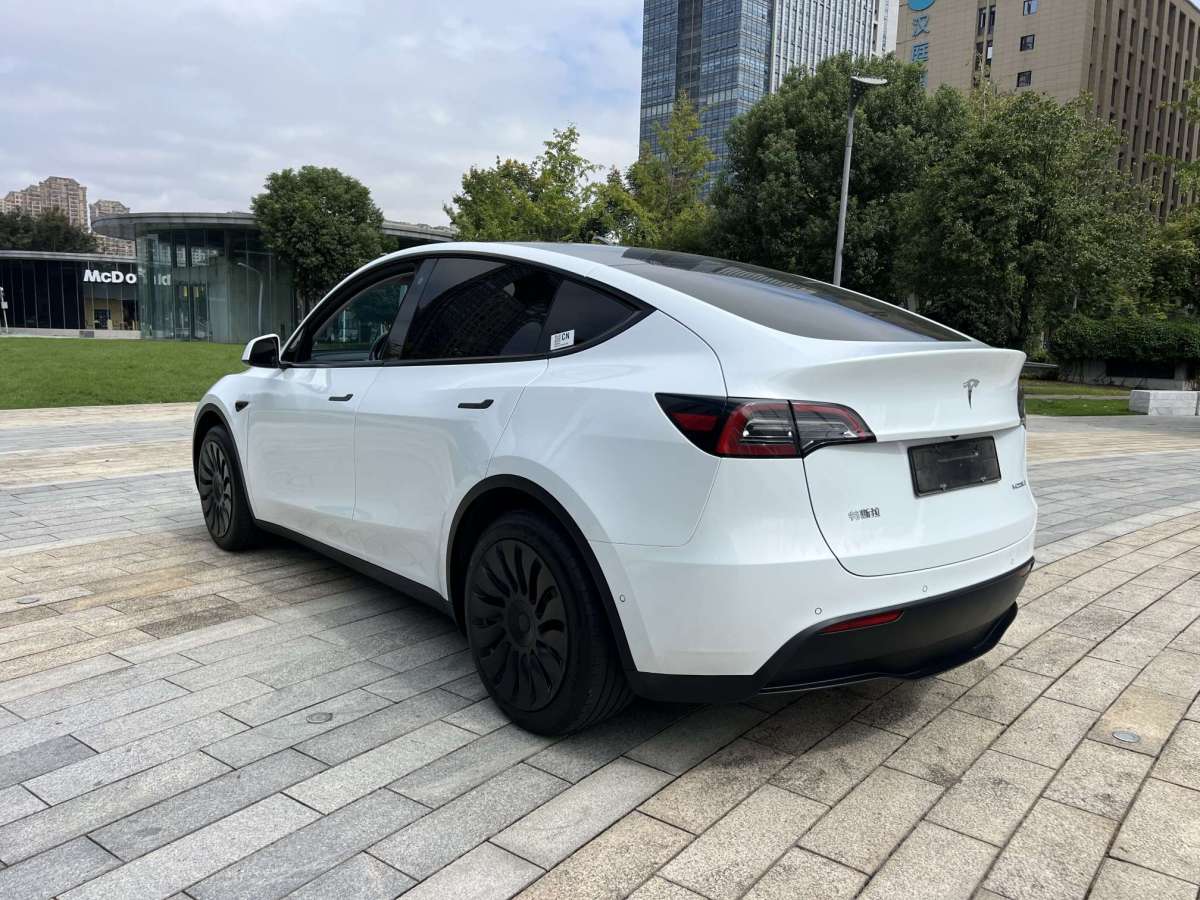 特斯拉 Model Y  2023款 煥新版 后輪驅(qū)動圖片