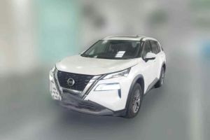 奇駿 日產(chǎn) 2.0L 兩驅(qū)智聯(lián)臻享版
