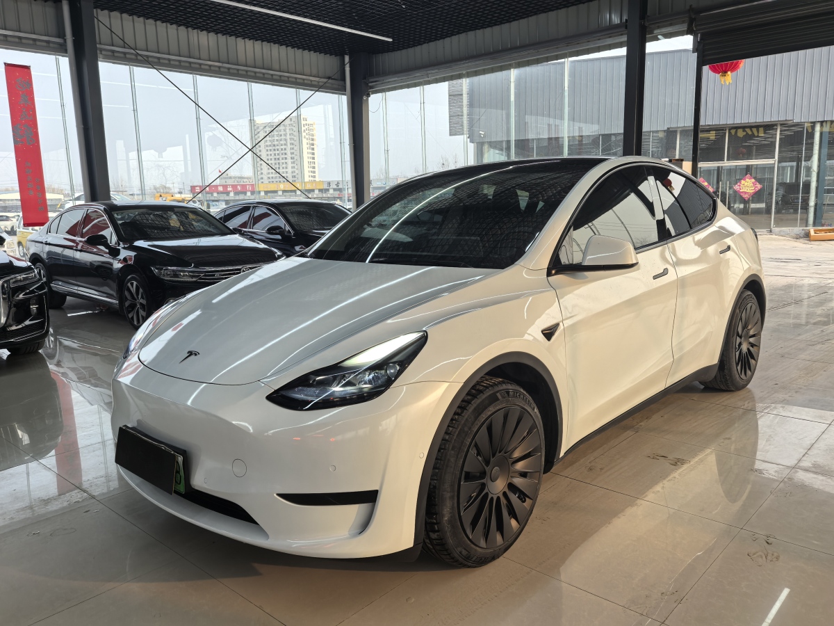 特斯拉 Model 3  2020款 改款 長續(xù)航后輪驅(qū)動版圖片