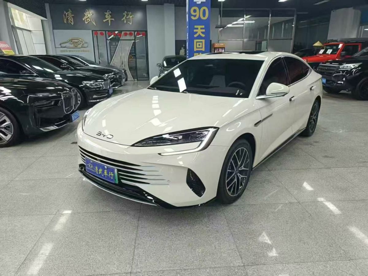 比亞迪 海獅07 EV  2024款 550標(biāo)準(zhǔn)版圖片