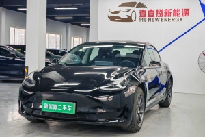 Model 3 特斯拉 标准续航后驱升级版