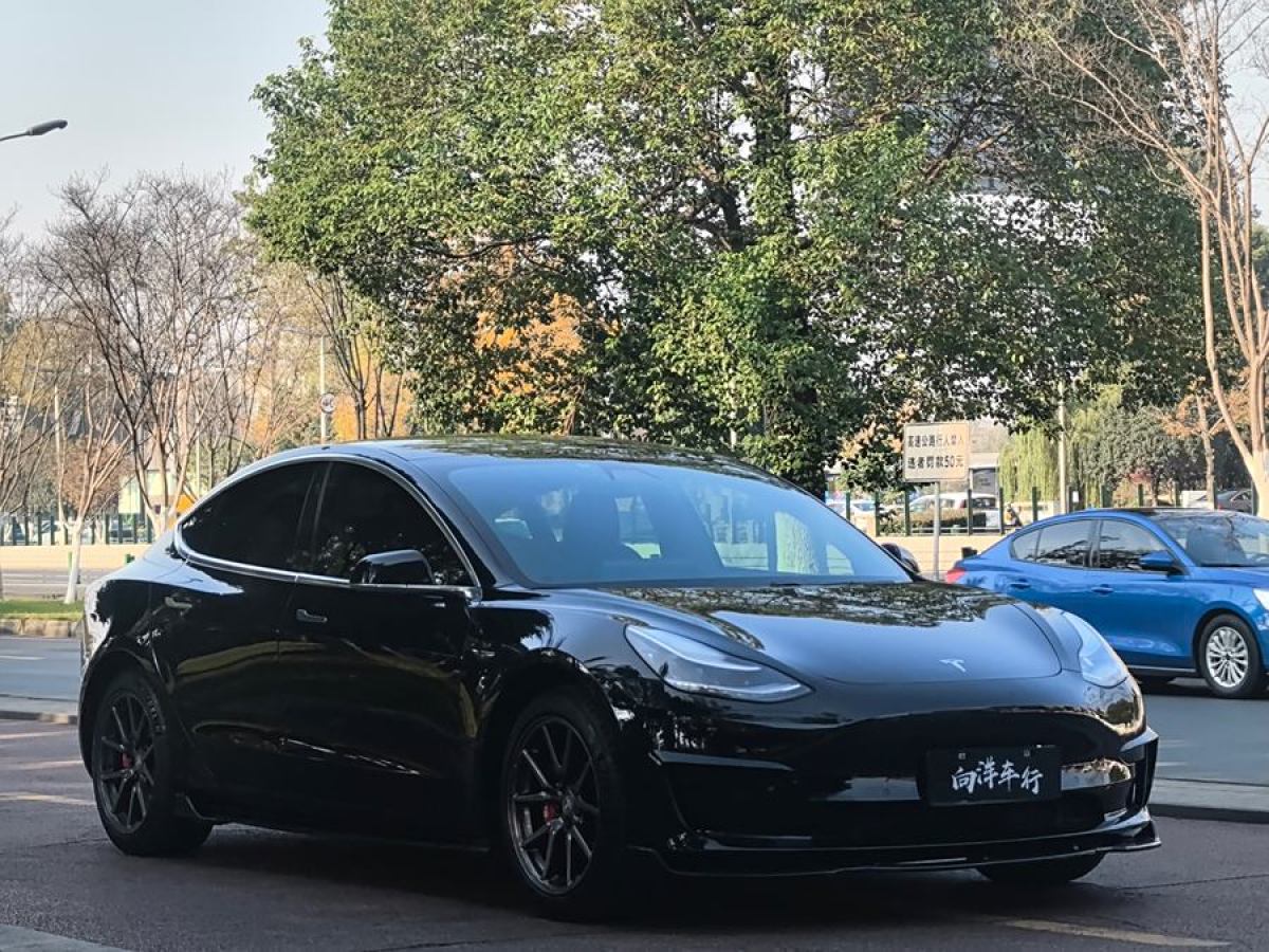 特斯拉 Model 3  2020款 改款 標(biāo)準(zhǔn)續(xù)航后驅(qū)升級(jí)版圖片