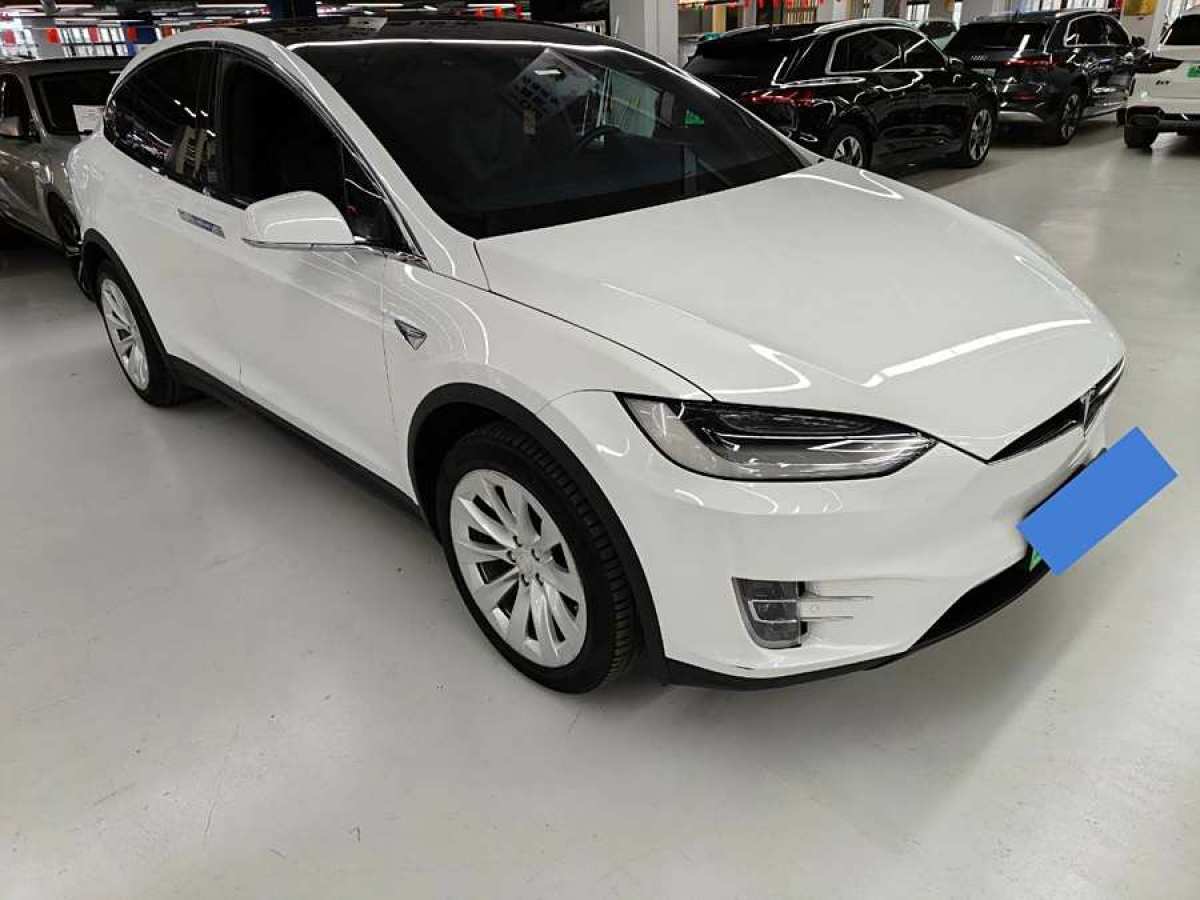 特斯拉 Model X  2019款 長續(xù)航版圖片