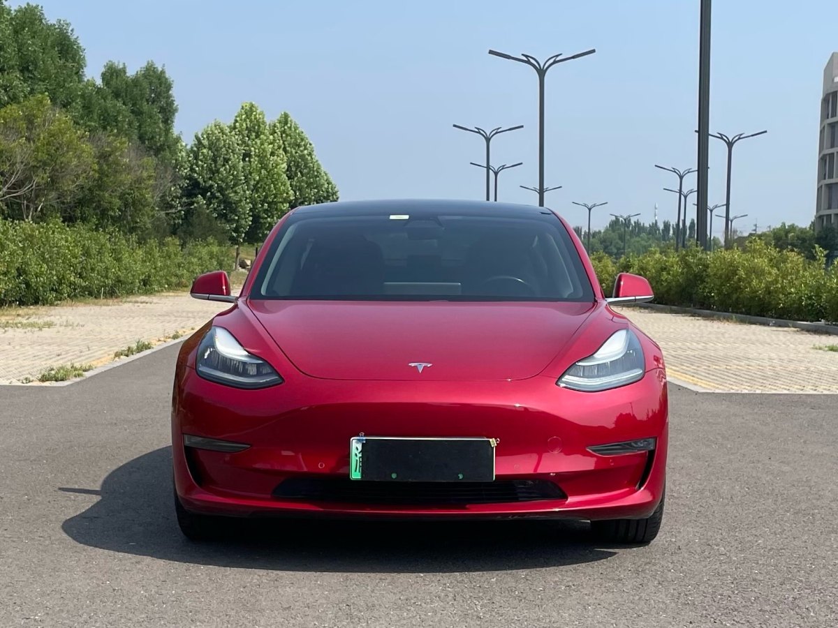 特斯拉 Model 3  2019款 长续航后驱版图片