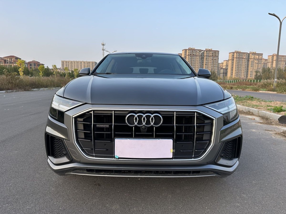 奧迪 奧迪Q8  2019款 55 TFSI 豪華動(dòng)感型圖片