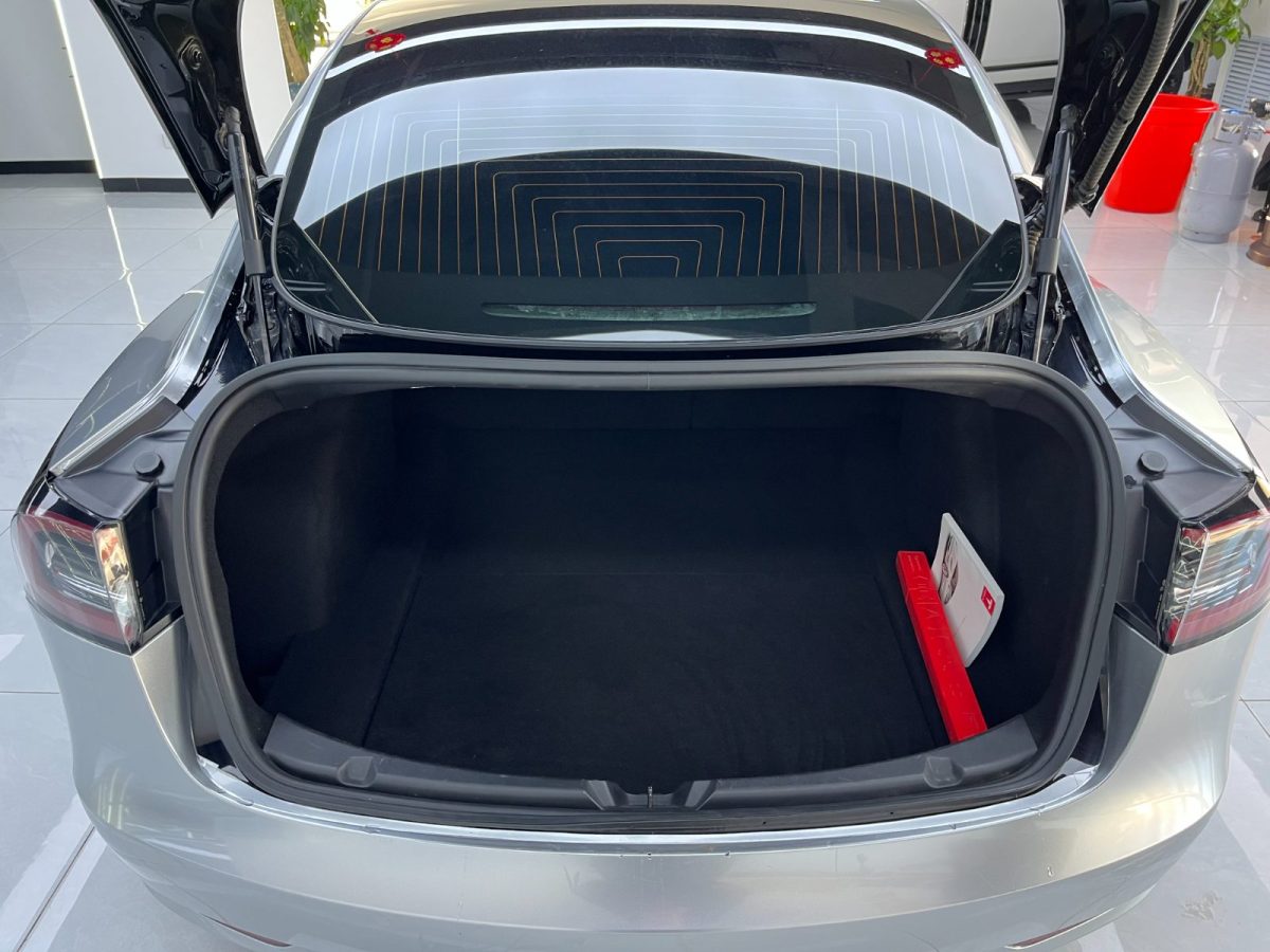 2020年8月特斯拉 Model 3  2019款 Performance高性能全轮驱动版