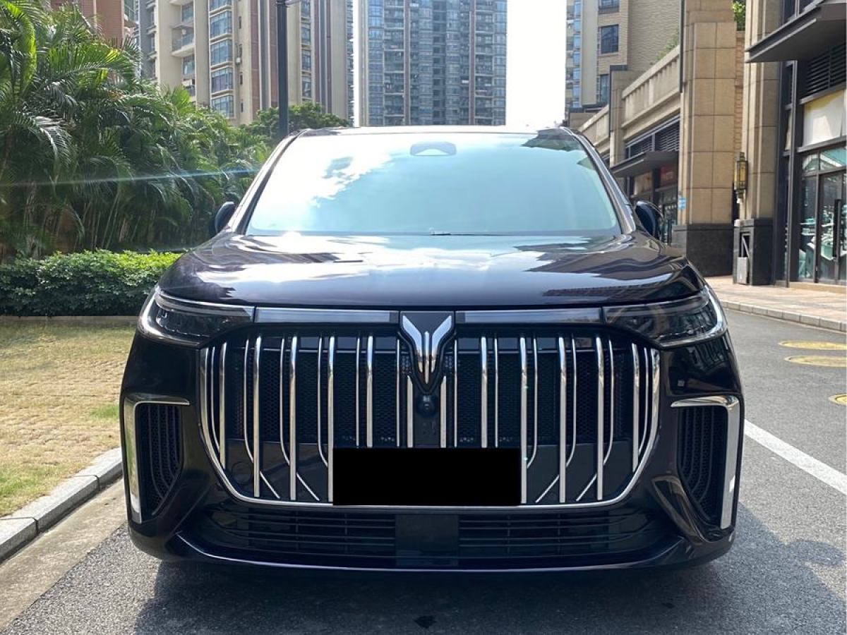 嵐圖 夢想家  2024款 PHEV 超長續(xù)航旗艦版圖片