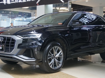 2021年6月 奧迪 奧迪Q8(進(jìn)口) 55 TFSI 豪華動感型圖片