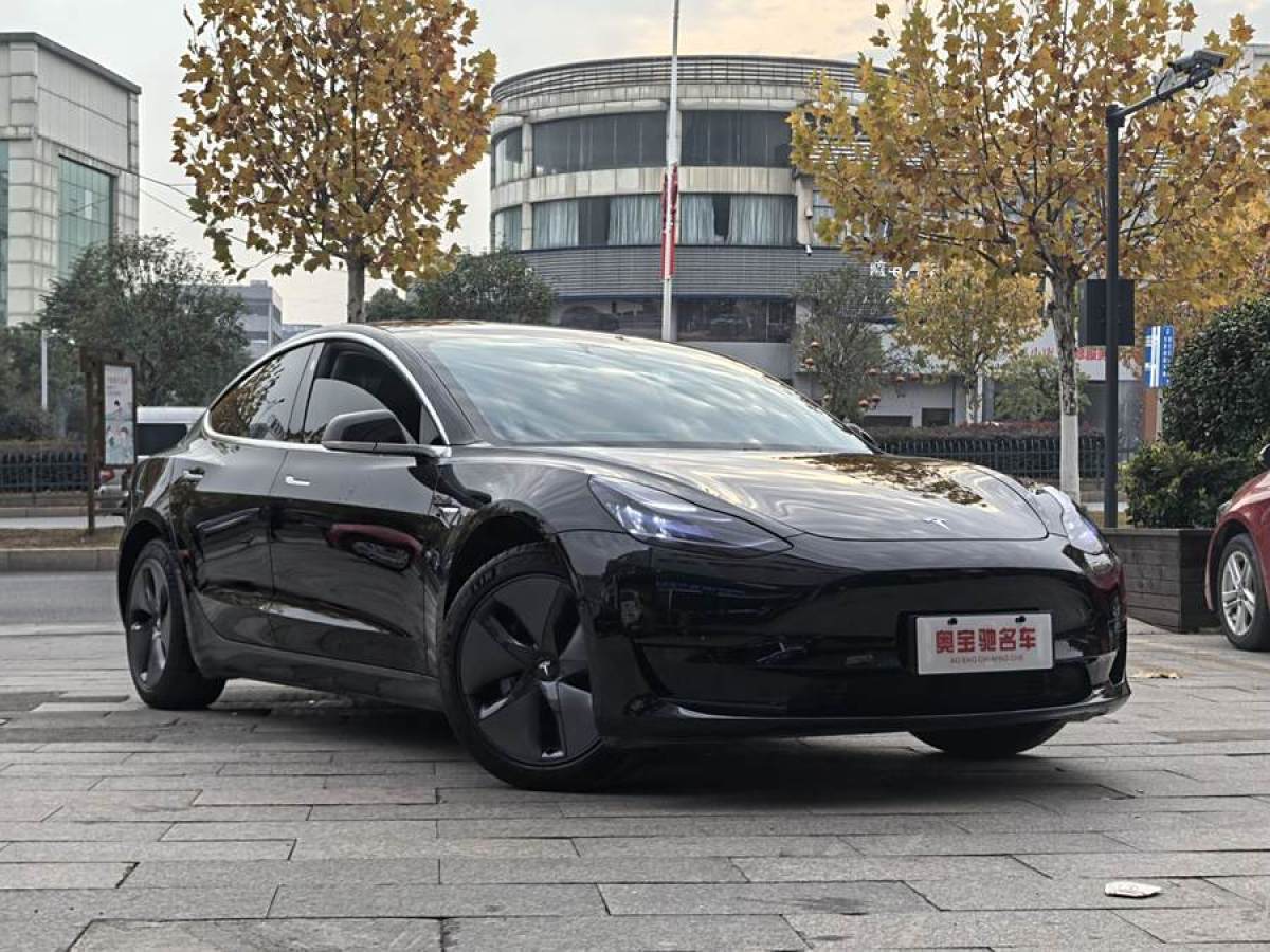 特斯拉 Model 3  2020款 改款 標(biāo)準(zhǔn)續(xù)航后驅(qū)升級版圖片