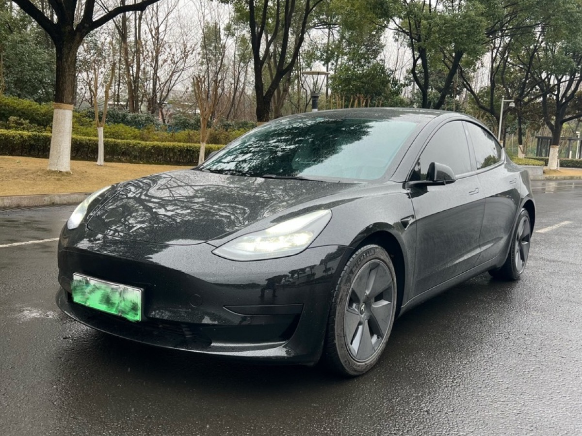 特斯拉 Model 3  2022款 后輪驅(qū)動(dòng)版圖片