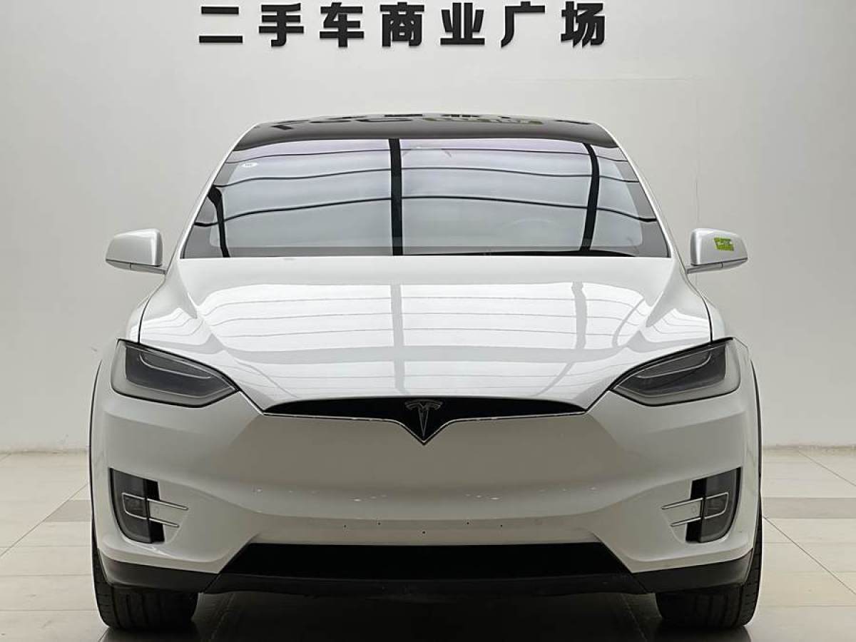 特斯拉 Model X  2019款 長(zhǎng)續(xù)航版圖片