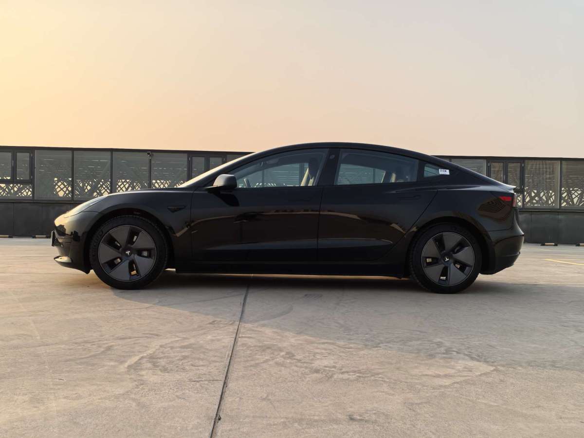 特斯拉 Model 3  2022款 后輪驅(qū)動(dòng)版圖片