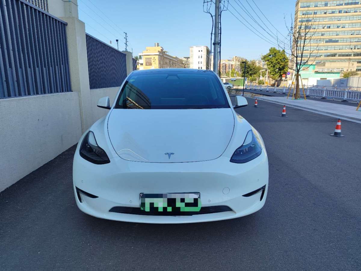 特斯拉 Model Y  2021款 長續(xù)航全輪驅(qū)動(dòng)版圖片