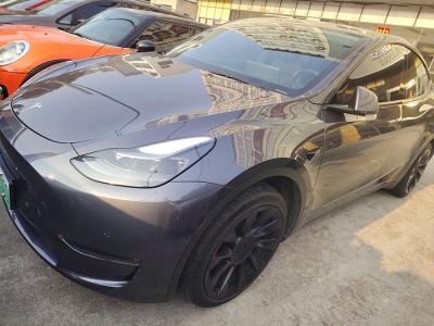 2021年3月 特斯拉 Model Y 改款 長續(xù)航全輪驅動版圖片