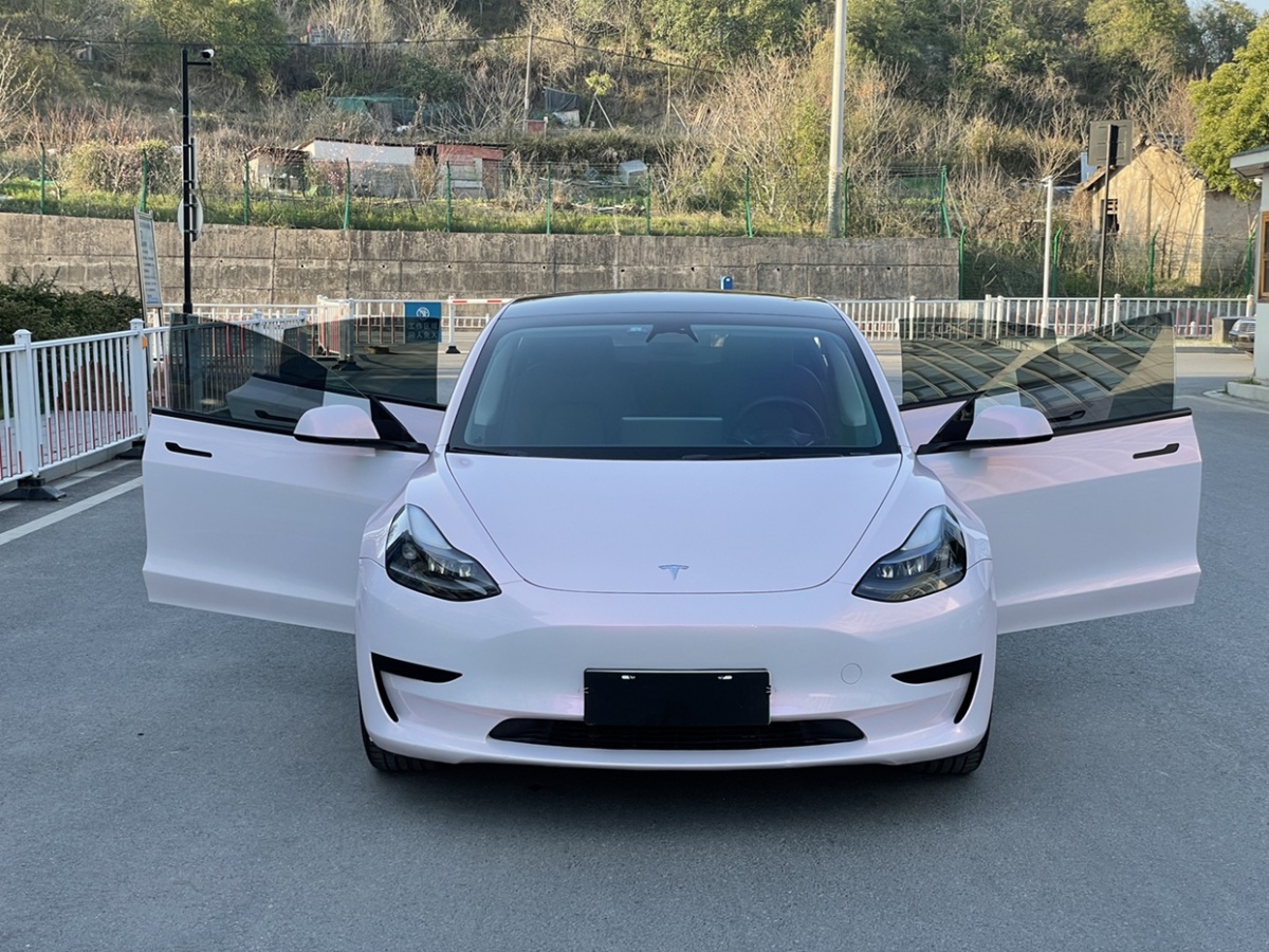 特斯拉 Model 3  2022款 后輪驅動版圖片