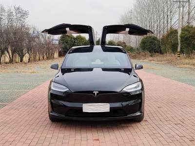 2023年10月 特斯拉 Model X 雙電機(jī)全輪驅(qū)動版圖片