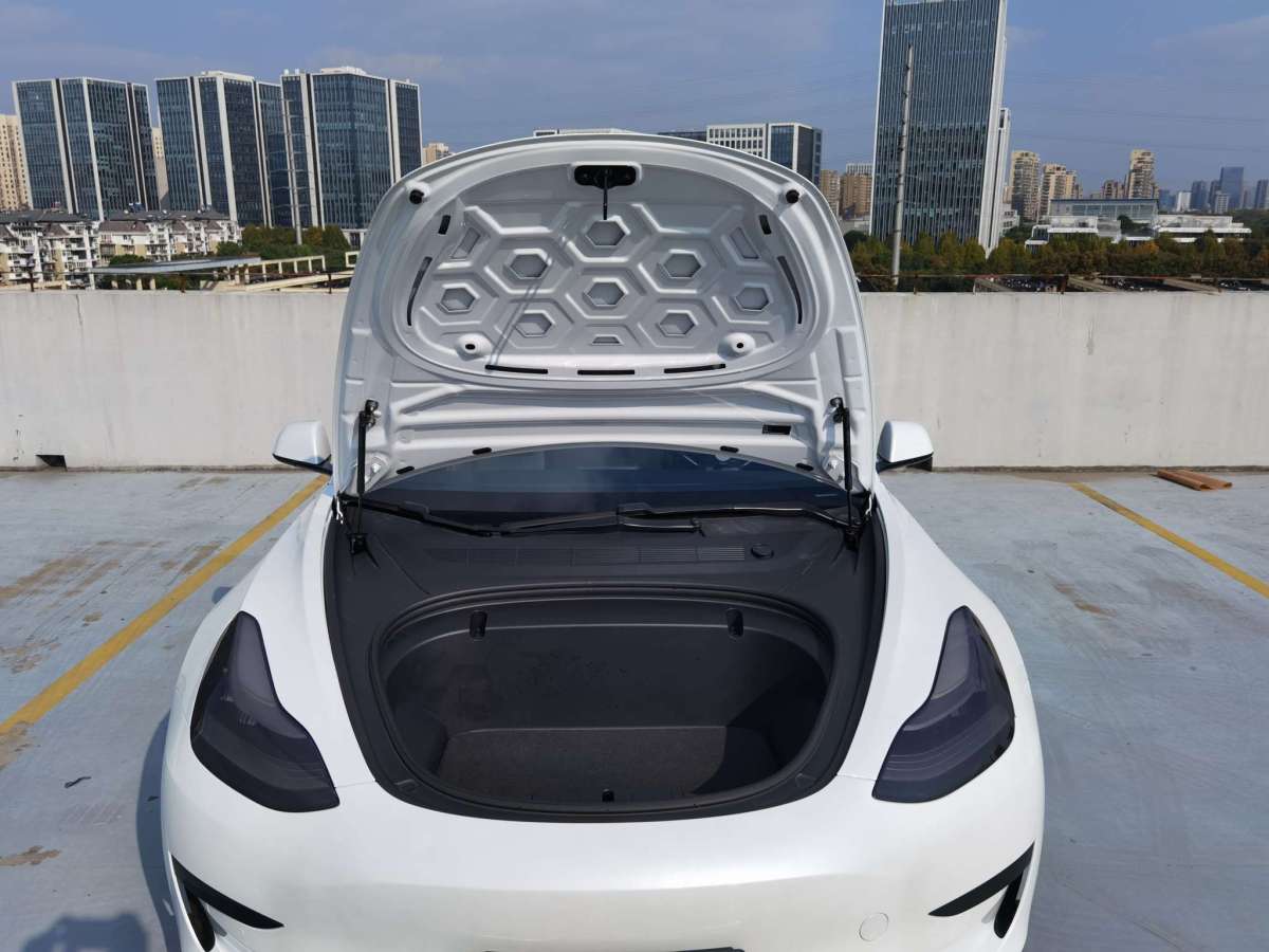 特斯拉 Model 3  2019款 標(biāo)準(zhǔn)續(xù)航后驅(qū)升級(jí)版圖片