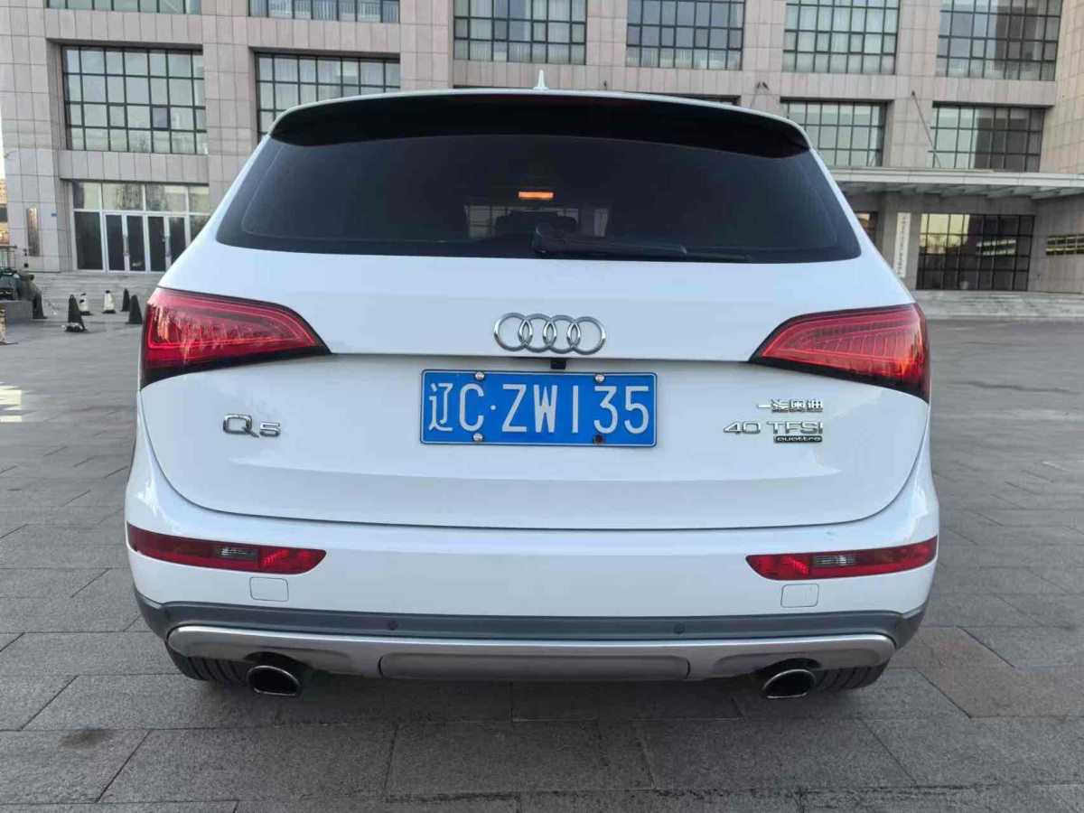 奧迪 奧迪Q5  2018款 典藏版 40 TFSI 進取型圖片