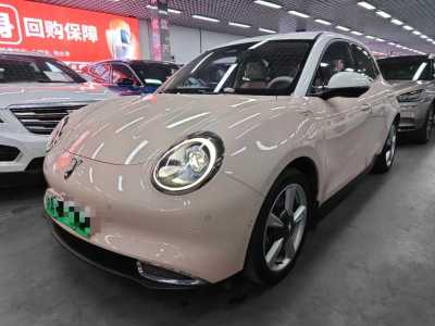 2021年3月 歐拉 歐拉好貓 500km長續(xù)航 公務(wù)版 三元鋰圖片