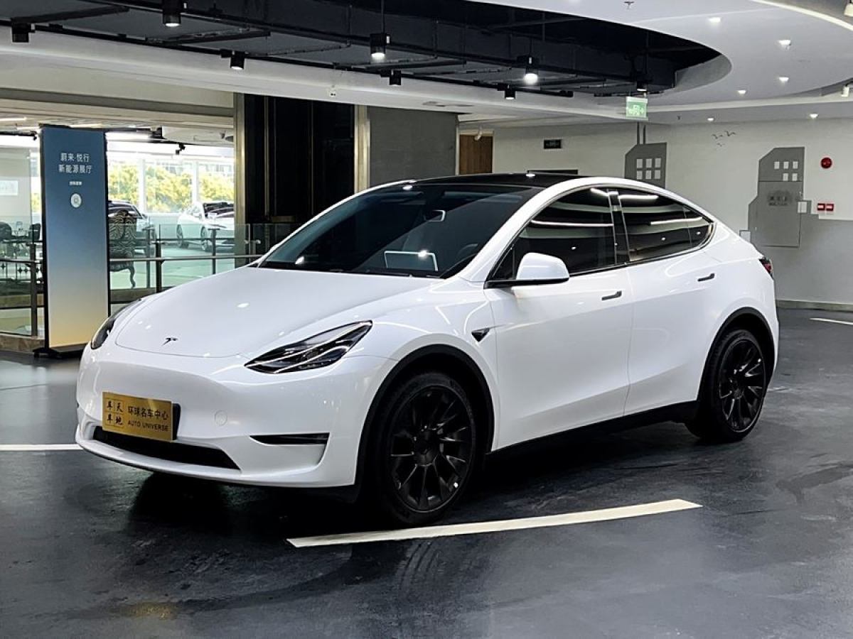 2024年8月特斯拉 Model Y  2024款 長續(xù)航全輪驅(qū)動版