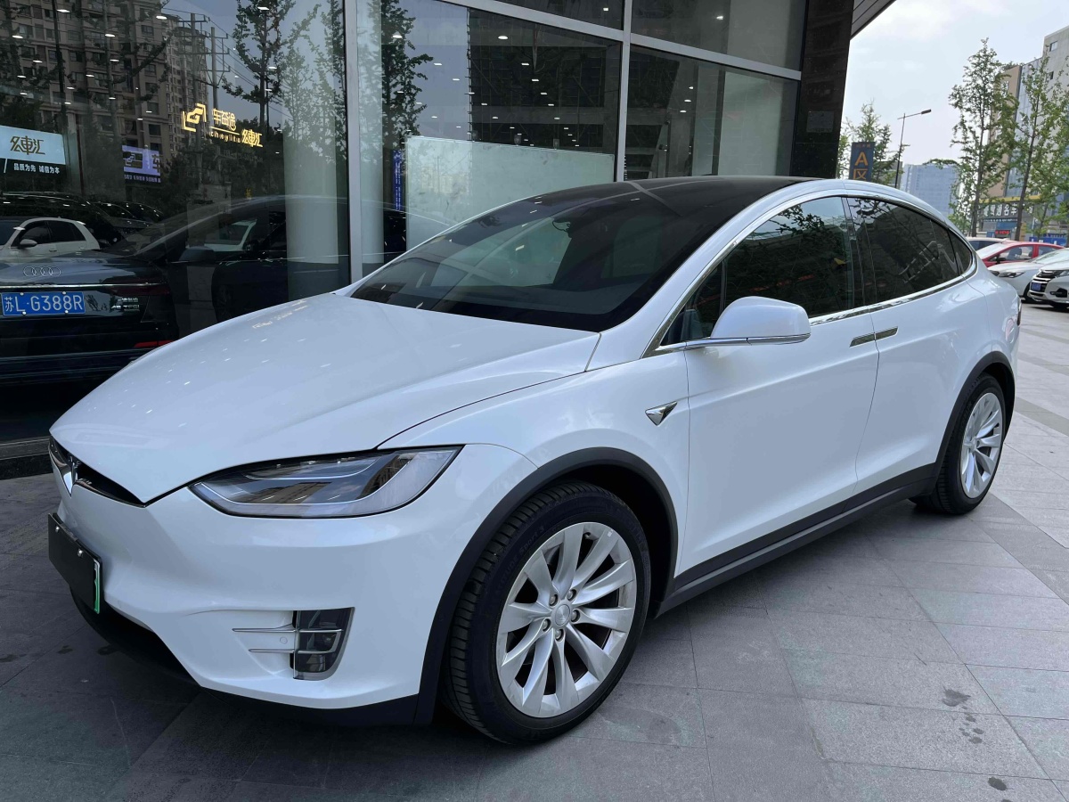 特斯拉 Model X  2016款 Model X 75D圖片