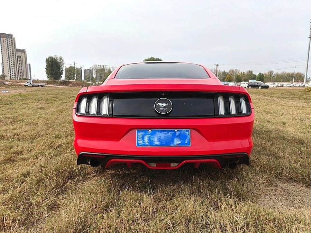 福特 Mustang  2015款 2.3T 性能版圖片