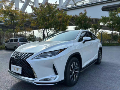 2020年6月 雷克萨斯 RX 300 两驱舒适版 国VI图片