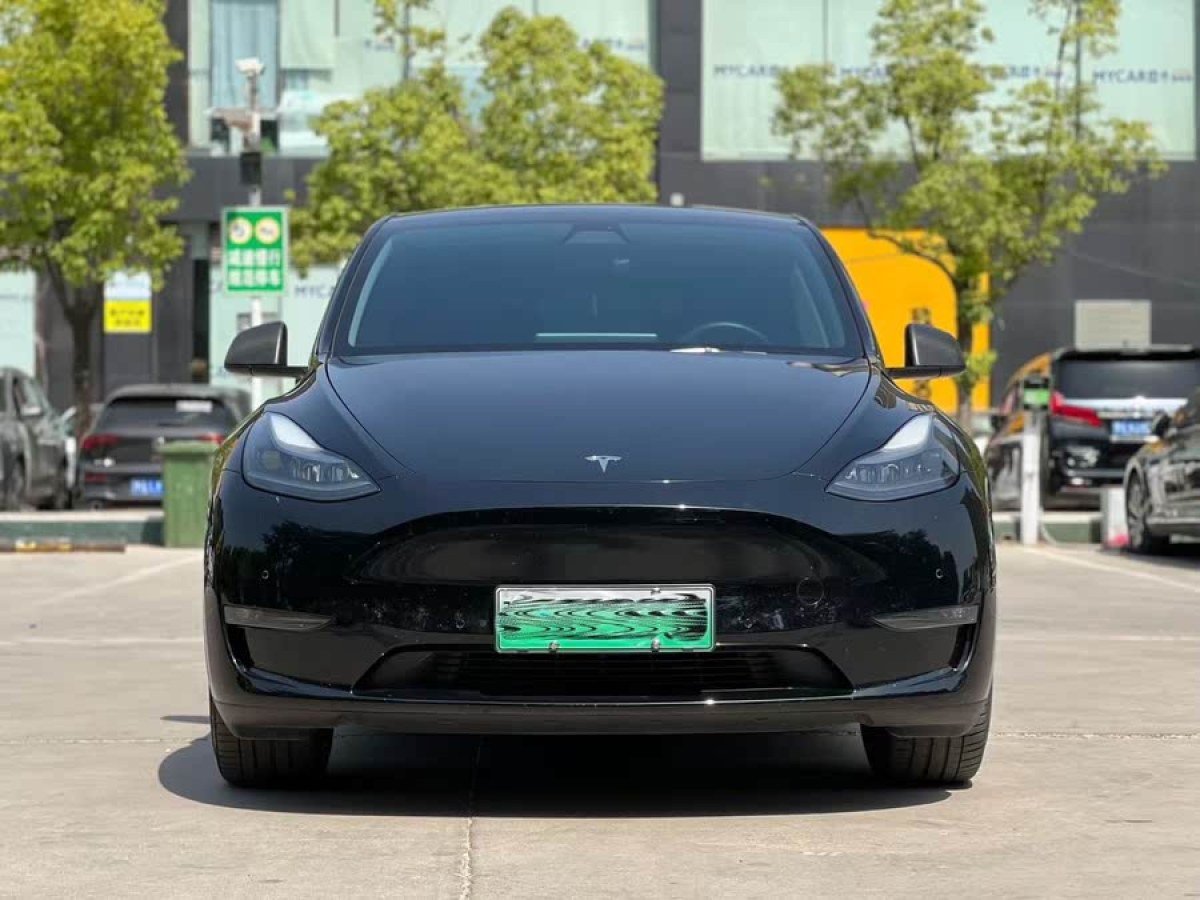 特斯拉 Model Y  2022款 改款 長(zhǎng)續(xù)航全輪驅(qū)動(dòng)版圖片