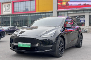 Model Y 特斯拉 改款 标准续航后驱升级版