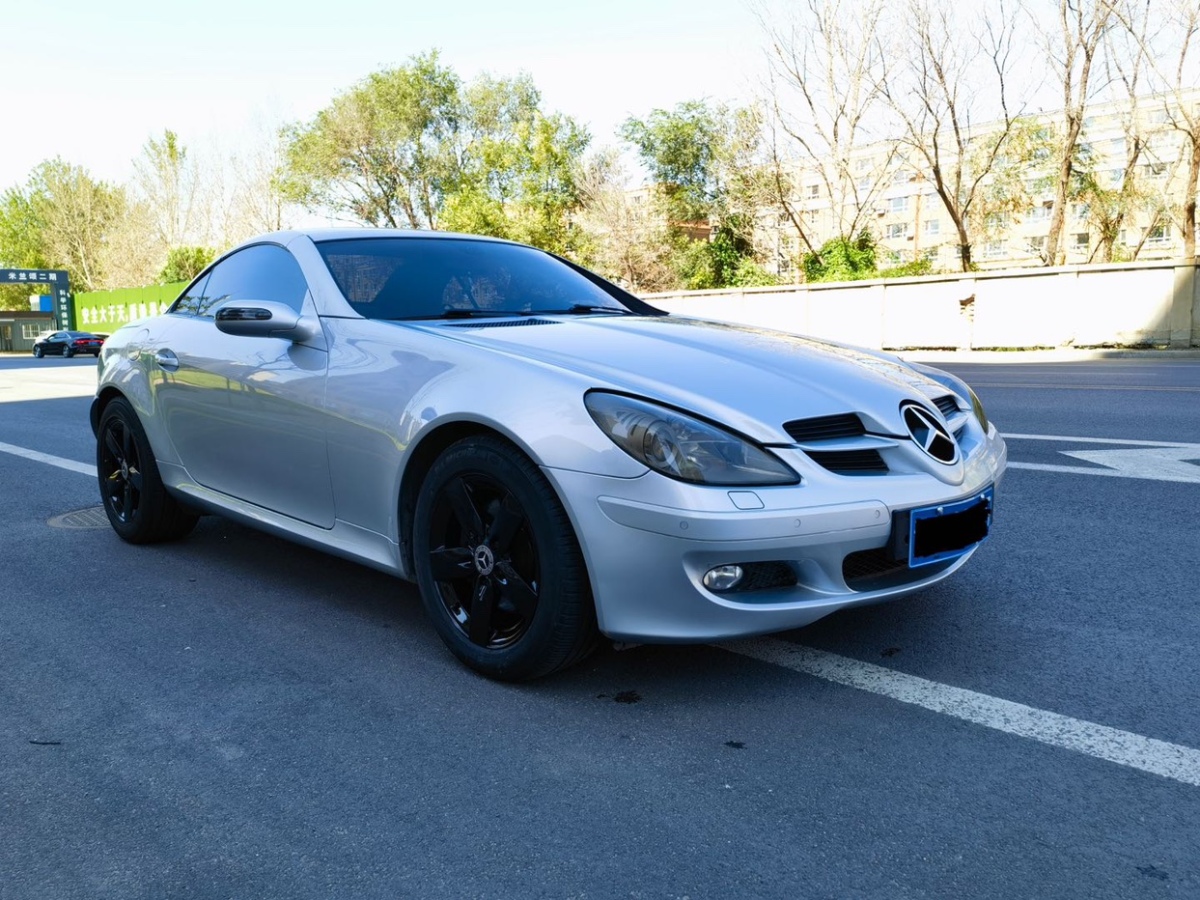 奔馳 奔馳SLK級(jí)  2008款 SLK 280 PASSION圖片