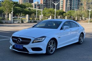 奔馳CLS級 奔馳 改款 CLS 260