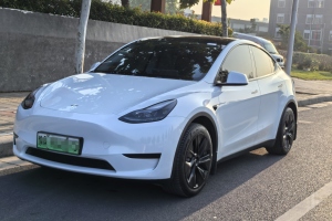 Model 3 特斯拉 后轮驱动版