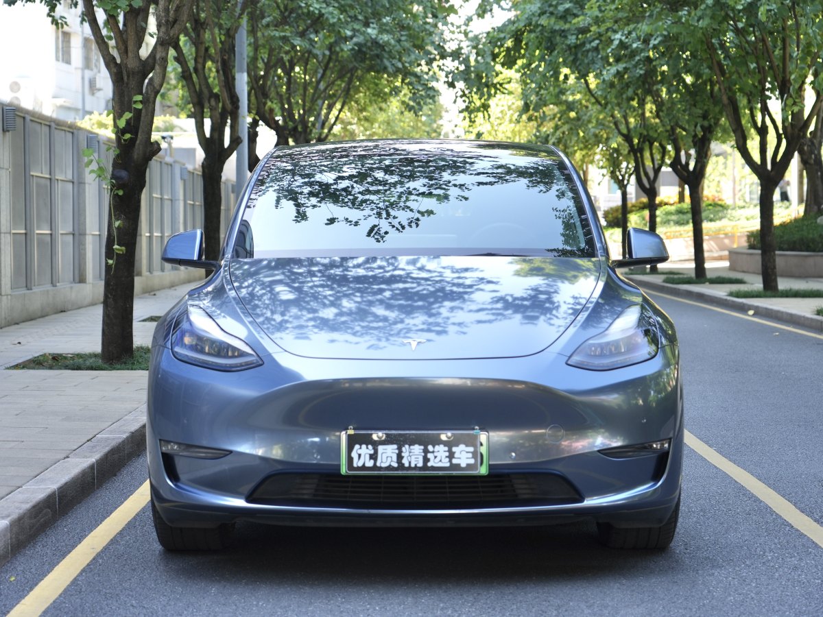 特斯拉 Model Y  2021款 長續(xù)航全輪驅(qū)動版 3D7圖片