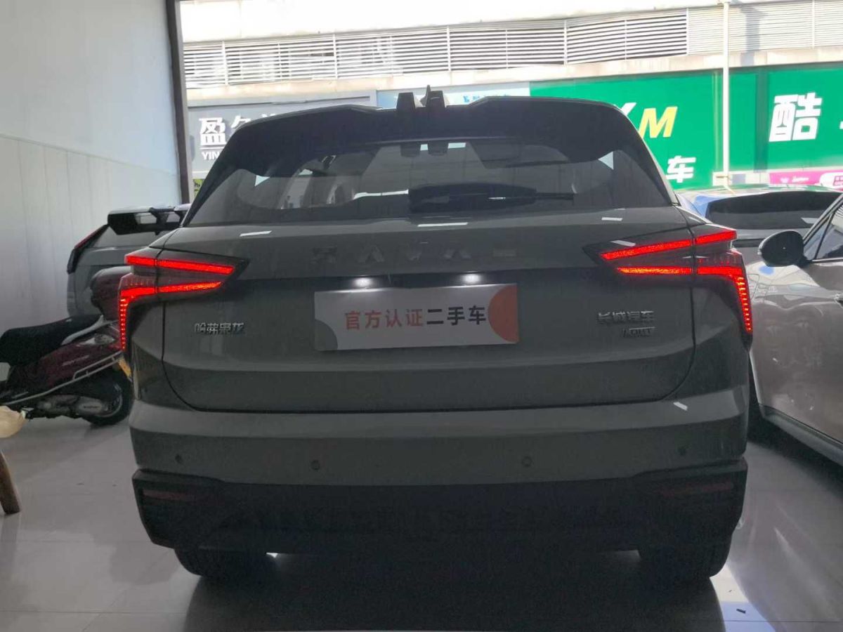 哈弗 哈弗猛龍  2024款 Hi4 102 Air圖片