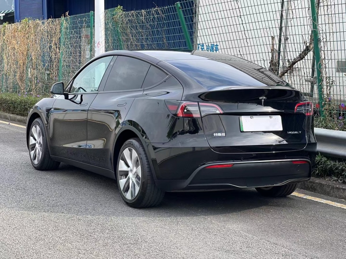 特斯拉 Model Y  2021款 長續(xù)航全輪驅動版 3D7圖片