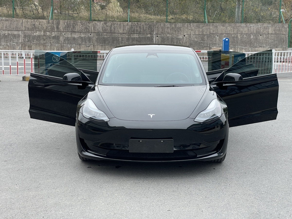 特斯拉 Model 3  2022款 后輪驅(qū)動版圖片