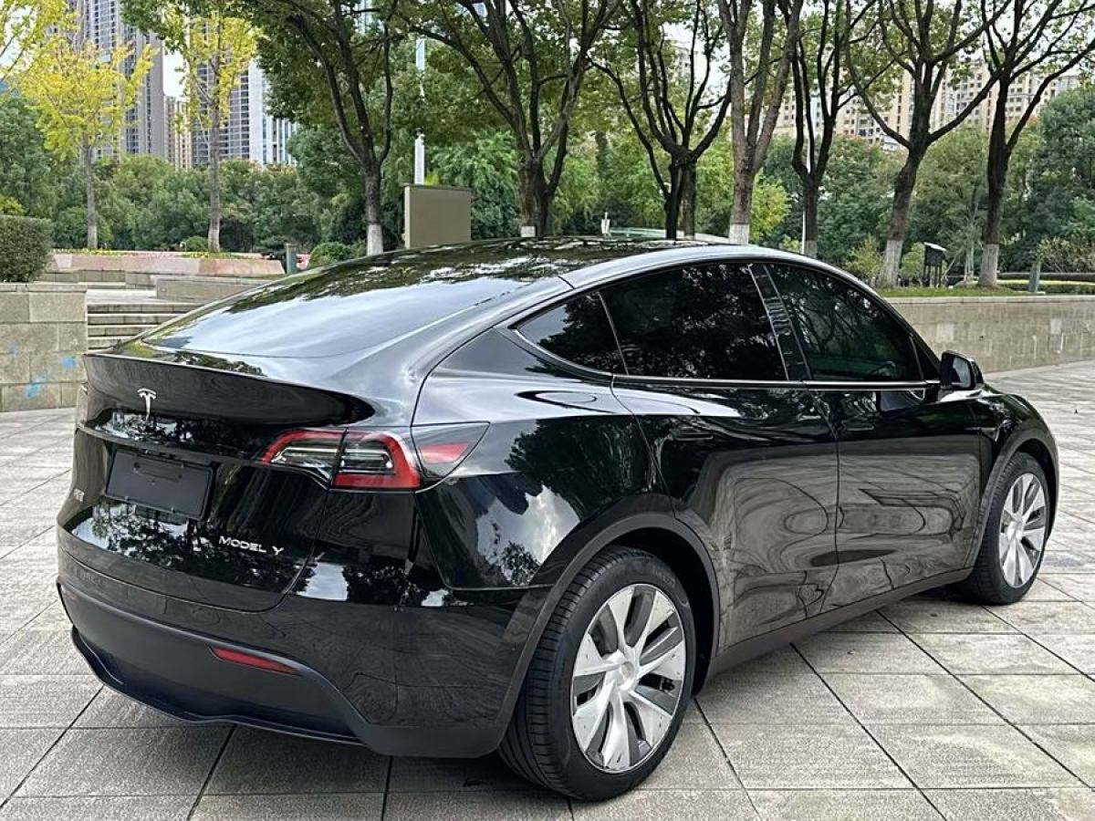 特斯拉 Model 3  2022款 后輪驅(qū)動(dòng)版圖片