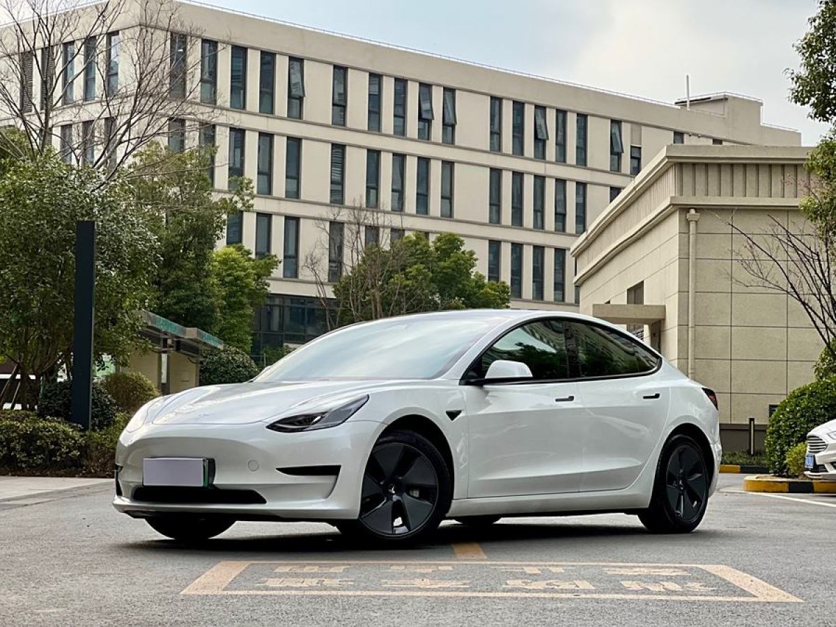 2021年2月特斯拉 Model 3  2021款 改款 標(biāo)準(zhǔn)續(xù)航后驅(qū)升級(jí)版